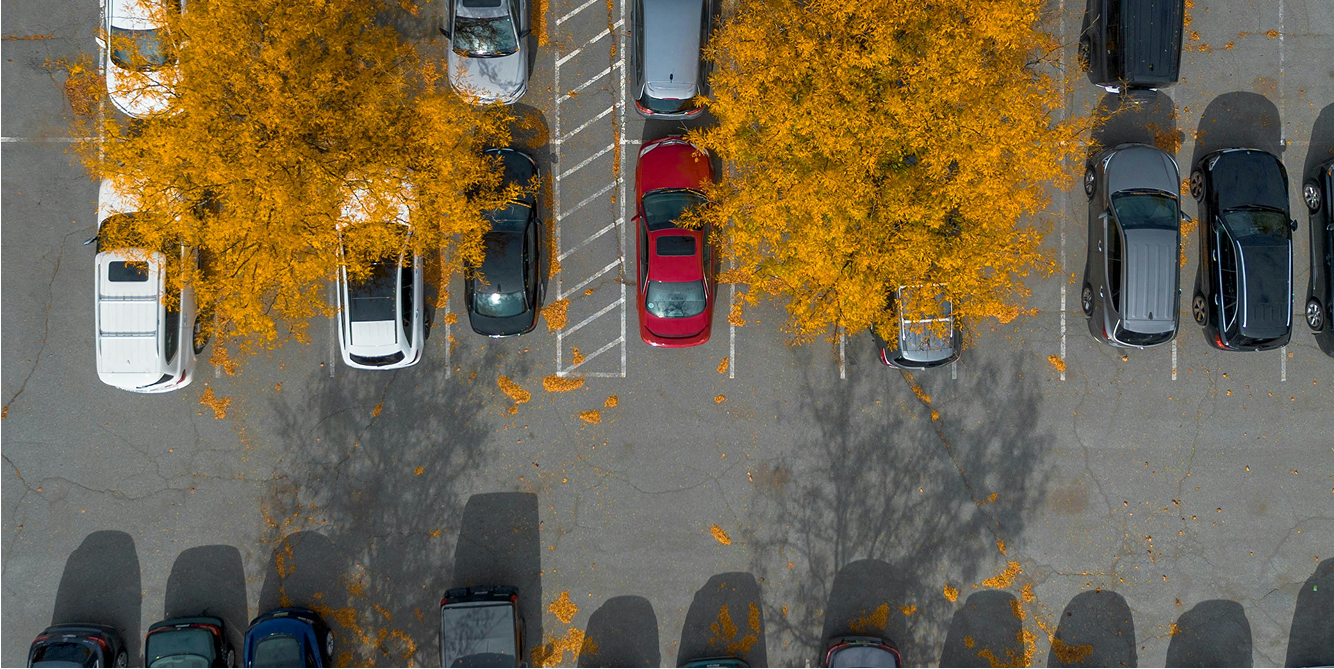 Luftaufnahme eines Parkplatzes mit Autos, die unter zwei Bäumen mit gelbem Herbstlaub stehen; einige Blätter liegen auf dem Boden und auf den Autodächern verstreut – eine ideale Kulisse für private Parkraumbewachungs- oder Parkraum-Hotel-Lösungen, die für geordnetes und bequemes Parken sorgen. - Sevoria Parking